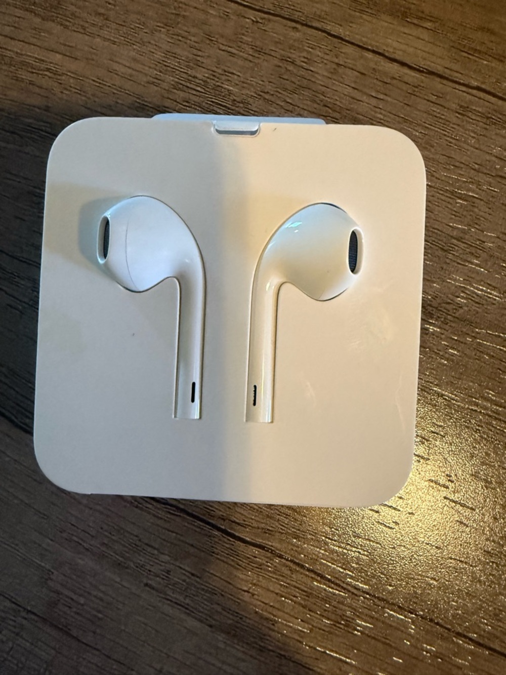 Apple Earpods OEM - Lightning Cable
Earbud Headphones